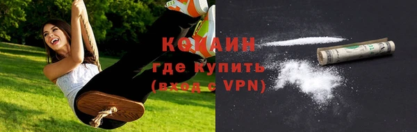 стаф Пестово
