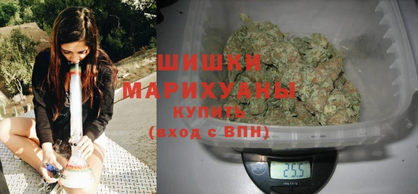 стаф Пестово