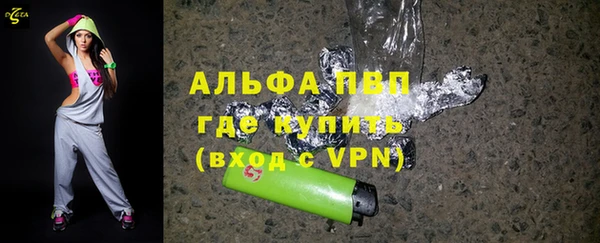 стаф Пестово